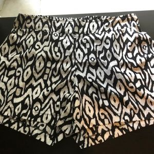 Torrid Shorts